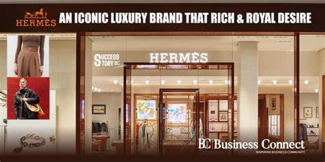 hermes company profile energy|hermes brand value.